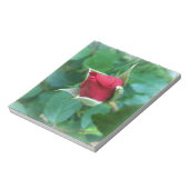 rode rosebud notitieblok (Gedraaid)