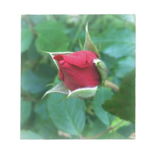 rode rosebud notitieblok