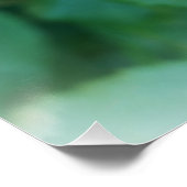 rode rosebud perfect poster (Hoek)