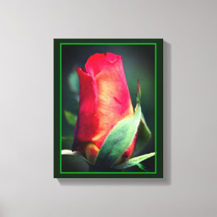 Rode rosebudventilator met gele hooglichten canvas afdruk