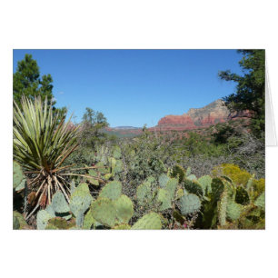Rode rotsen en cactussen I