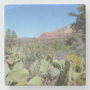 Rode rotsen en cactussen I Stenen Onderzetter