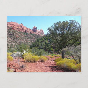 Rode rotsen en cactussen II in Sedona Arizona Briefkaart