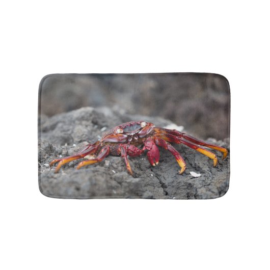 Rode rotskrab badmat (Voorkant)