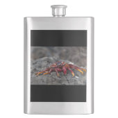 Rode rotskrab flacon (Voorkant)