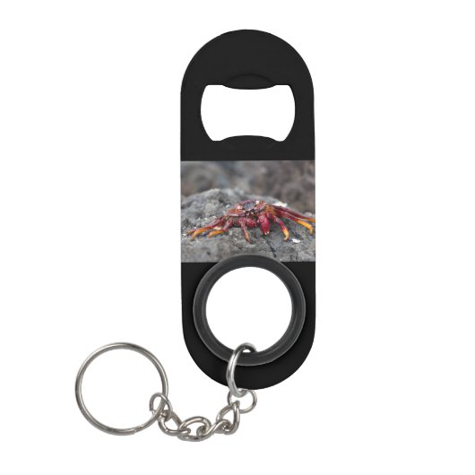 Rode rotskrab mini flessenopener (Voorkant)