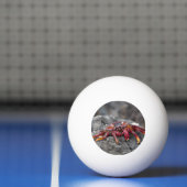 Rode rotskrab pingpongballen (Net)