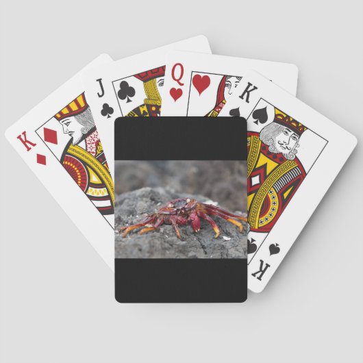 Rode rotskrab pokerkaarten (Achterkant)