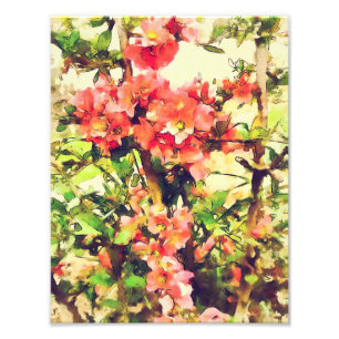 Rode Roze Aquarel Bloemmotief 1 Foto Afdruk