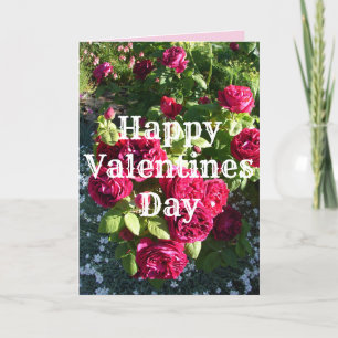 Rode roze bloem Rozen Valentijnse Kaart