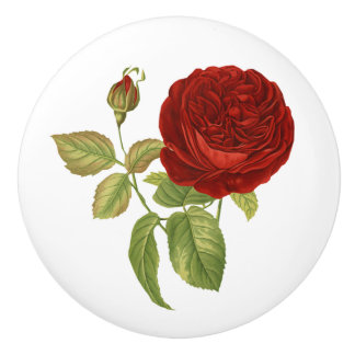 rode roze botanisch keramische knop