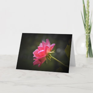 Rode roze en regendruppels, kaart