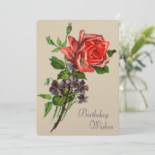 Rode roze en Violet Kaart