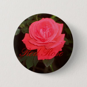 Rode roze knop ronde button 5,7 cm