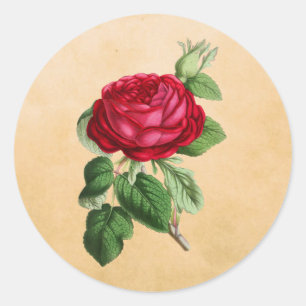 rode roze op een Faux Tan Leather Achtergrond Ronde Sticker