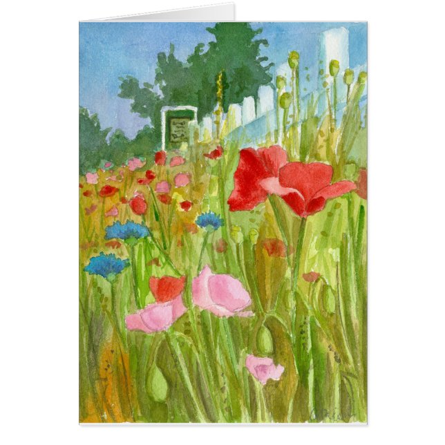 Rode Roze Poppies Waterverf Bloemen Blank (Voorkant)