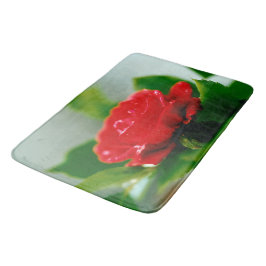 Rode roze van passie bedekt met dauwdruppels badmat