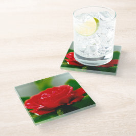 Rode roze van passie bedekt met dauwdruppels glazen onderzetter