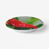 Rode roze van passie bedekt met dauwdruppels papieren kommen (Gebogen)