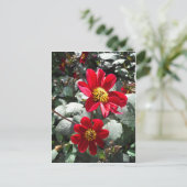 rode, roze vleermuis / melkbloemen briefkaart (Staand voorkant)