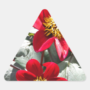 rode, roze vleermuis / melkbloemen driehoek sticker