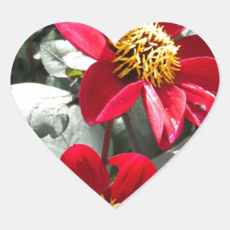 rode, roze vleermuis / melkbloemen hart sticker