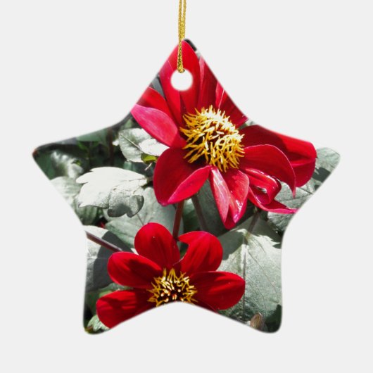 rode, roze vleermuis / melkbloemen keramisch ornament (Voorkant)