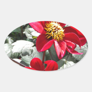 rode, roze vleermuis / melkbloemen ovale sticker
