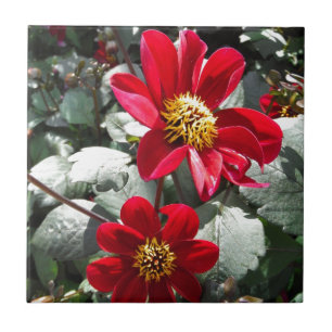 rode, roze vleermuis / melkbloemen tegeltje