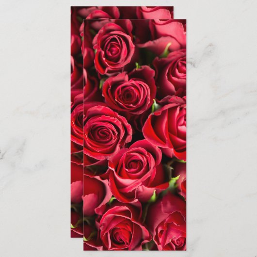 Rode rozen (Voorkant / Achterkant)