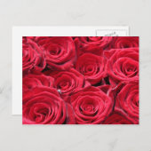Rode rozen briefkaart (Voorkant / Achterkant)