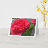 Rode Rozen Close-up Portret Kaart (Gele Bloem)