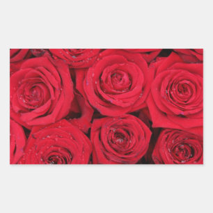Rode rozen door therosegarden rechthoekige sticker