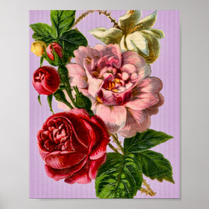 Rode rozen Floral Poster