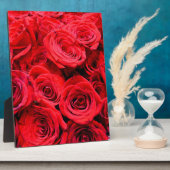 Rode rozen fotoplaat (Zijkant)