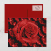 Rode rozen houden van briefkaart (Voorkant / Achterkant)