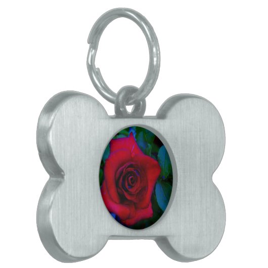 Rode rozen met blauwe tinten huisdieren naamplaatje (Voorkant Links)