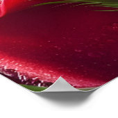 Rode rozen met regendruppels poster (Hoek)