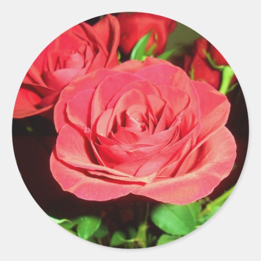 Rode rozen ronde sticker (Voorkant)