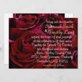 Rode rozen rondom bruiloft innovatie kaart (Voorkant / Achterkant)