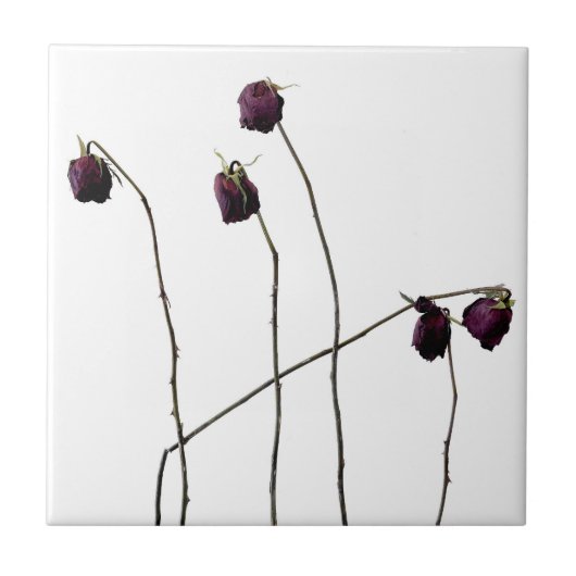 Rode rozen tegeltje (Voorkant)