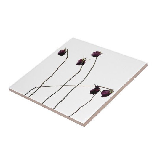 Rode rozen tegeltje (Zijkant)