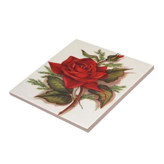 Rode rozen tegeltje (Zijkant)