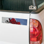 Rode rozen tegen een heldere blauwe hemel bumpersticker (Op Truck)