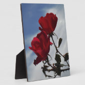 Rode rozen tegen een heldere blauwe hemel fotoplaat (Zijkant)