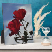 Rode rozen tegen een heldere blauwe hemel fotoplaat (Zijkant)