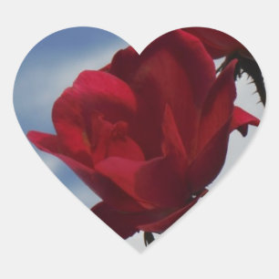 Rode rozen tegen een heldere blauwe hemel hart sticker