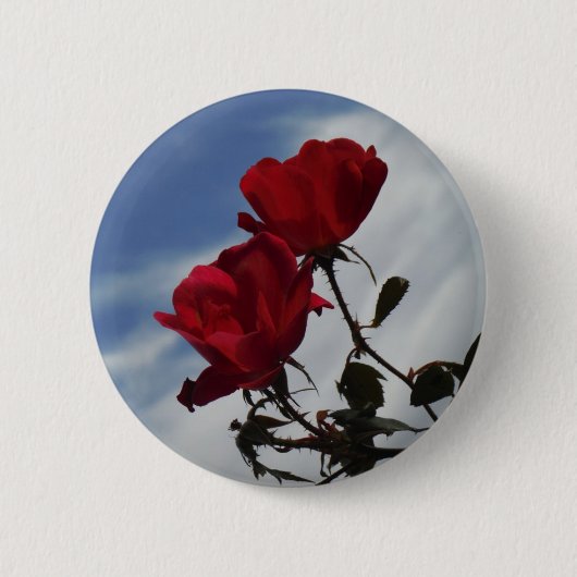Rode rozen tegen een heldere blauwe hemel ronde button 5,7 cm (Voorkant)