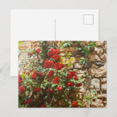Rode rozen tegen een stenen muur briefkaart (Voorkant / Achterkant)