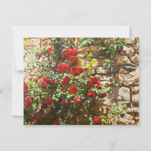 Rode rozen tegen een stenen muur briefkaart